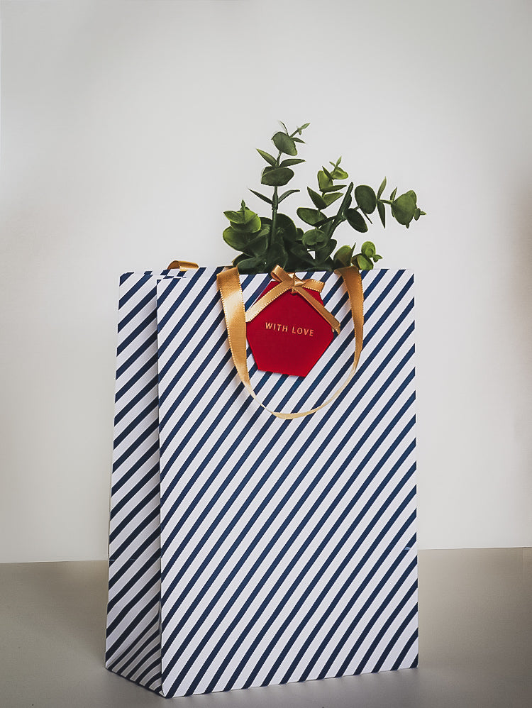 NAVY BLUE CANDY STRIPE BAGS WITH TAGS - PACK OF 5