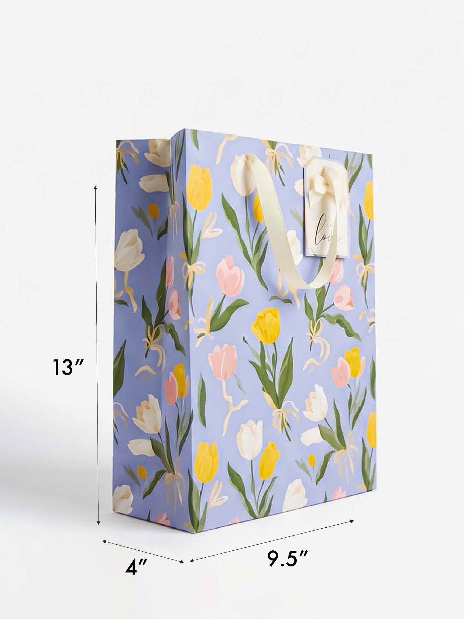 PAINTED TULIPS GIFT BAG BUNDLE